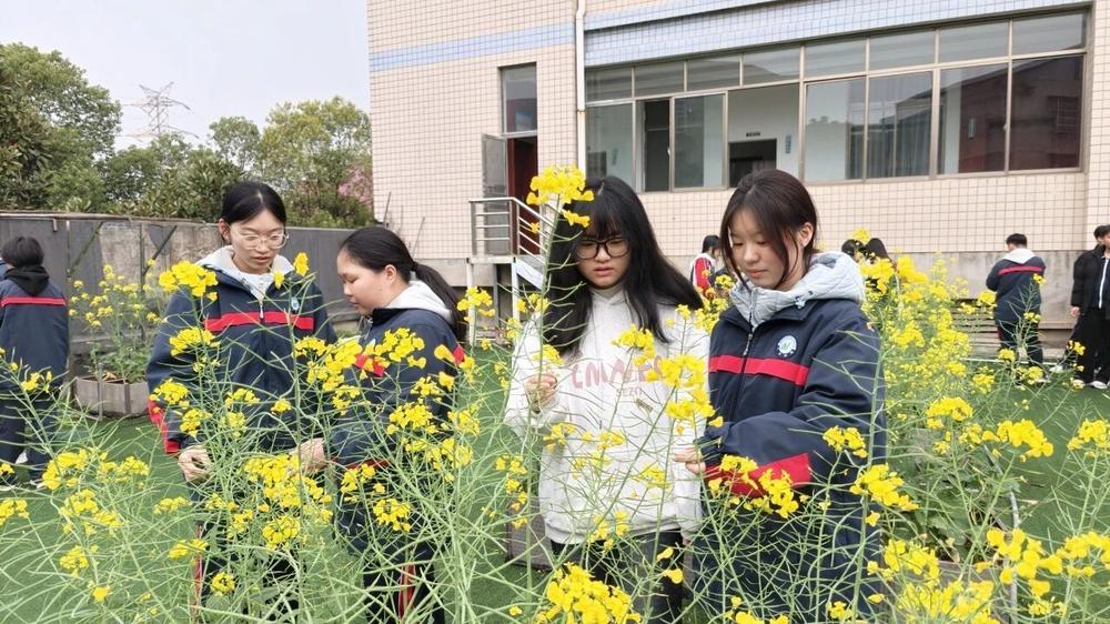 活动风采8